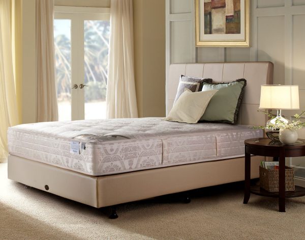 Sealy posture premier base clearance